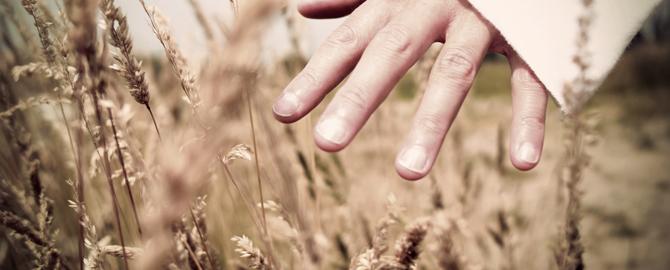 hand